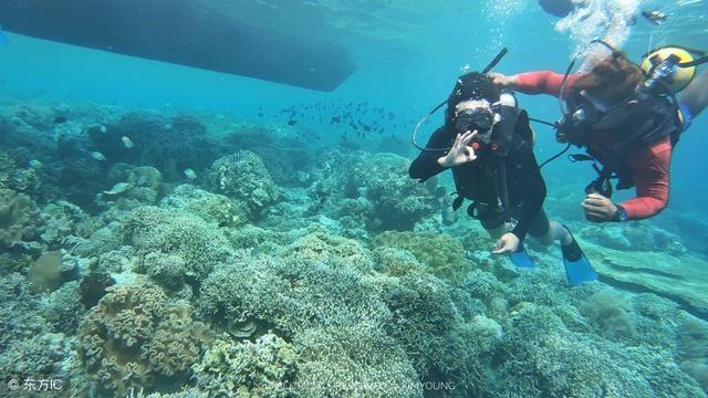报告速读｜打造世界知名旅游目的地