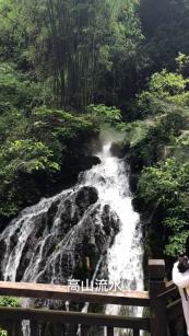 春雨直播app